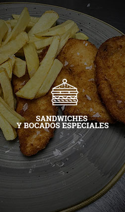 sandwiches-y-bocados-especiales