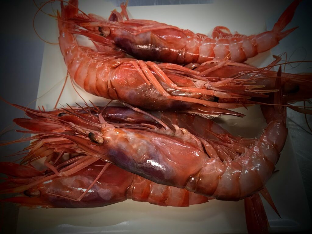 gamba roja el laurel gastrobar 1 gamba roja el laurel gastrobar 1