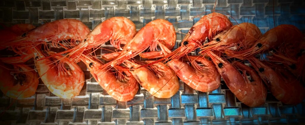 quisquillas frescas el laurel quisquillas frescas el laurel