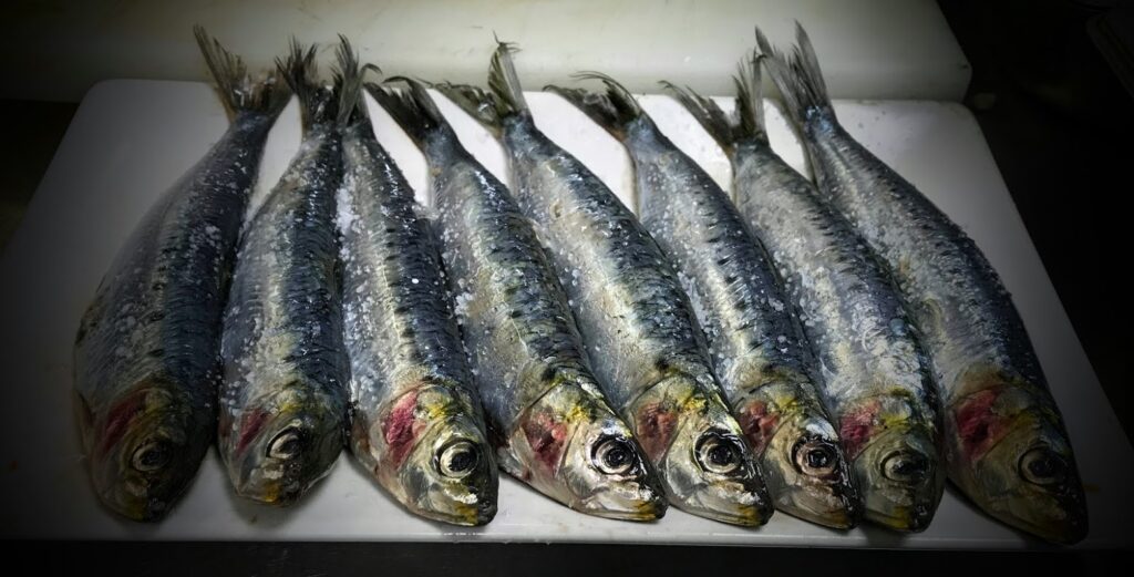 sardinas frescas el laurel gastrobar sardinas frescas el laurel gastrobar