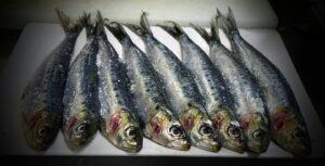 sardinas frescas el laurel gastrobar